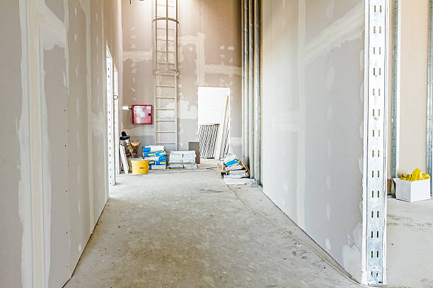 Reliable Corcoran, MN Mold Removal Solutions