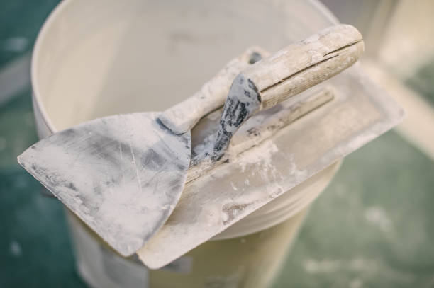 Best Dehumidification Services  in Corcoran, MN